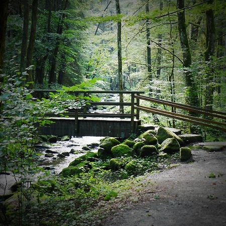 Fewo Kedo Neukirchen vorm Wald 外观 照片
