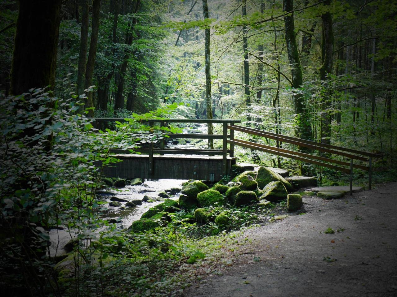 Fewo Kedo Neukirchen vorm Wald 外观 照片