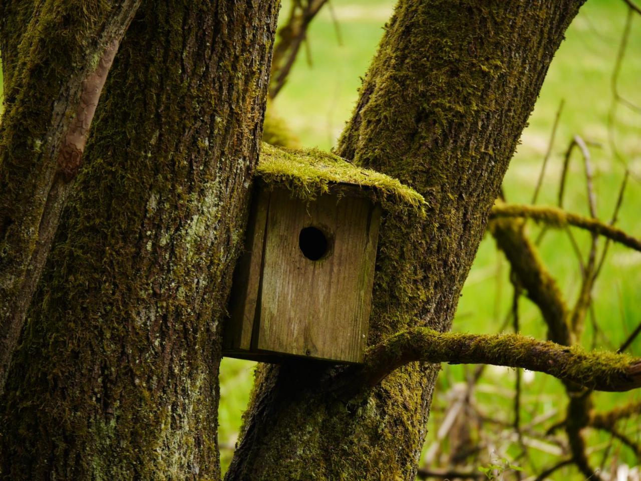Fewo Kedo Neukirchen vorm Wald 外观 照片