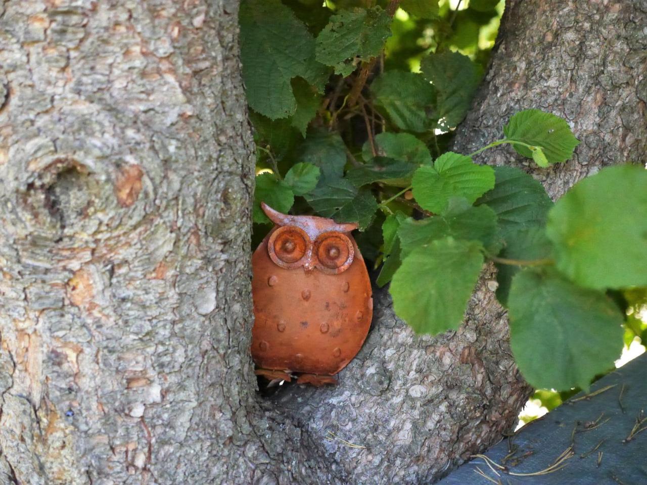 Fewo Kedo Neukirchen vorm Wald 外观 照片